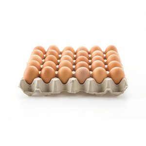 Huevos Blancos N°2 | 20 Docenas